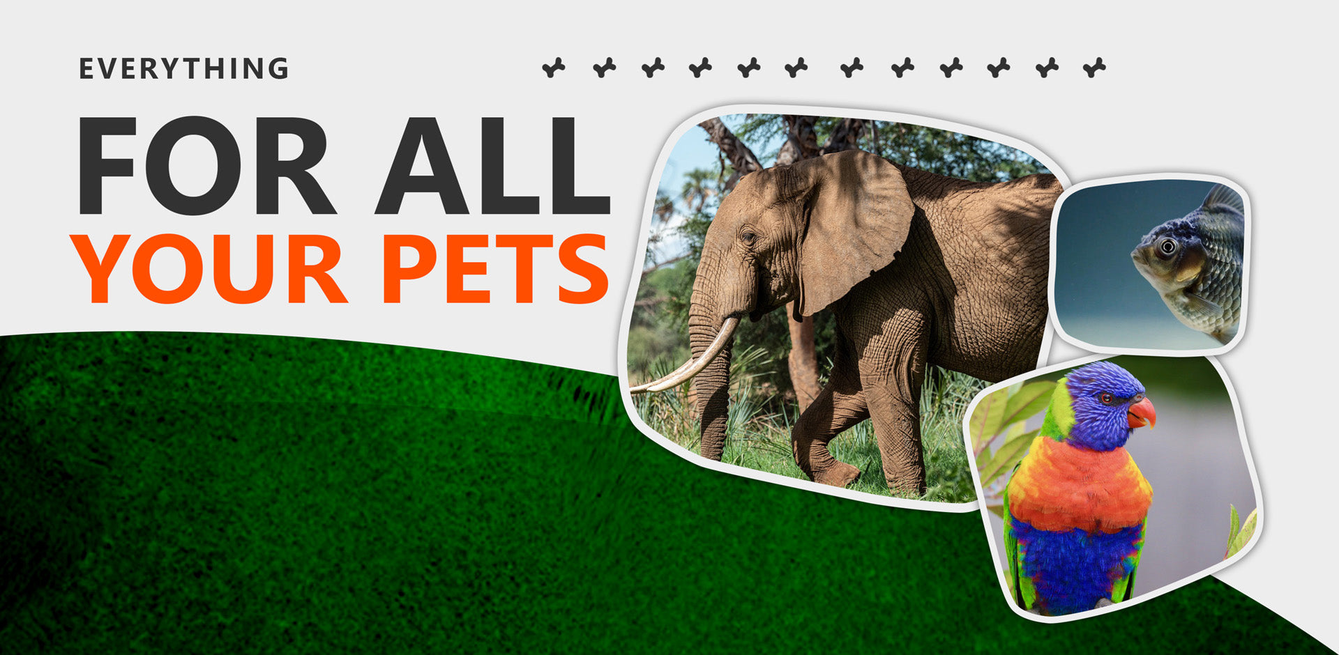 Everythingformyanimals