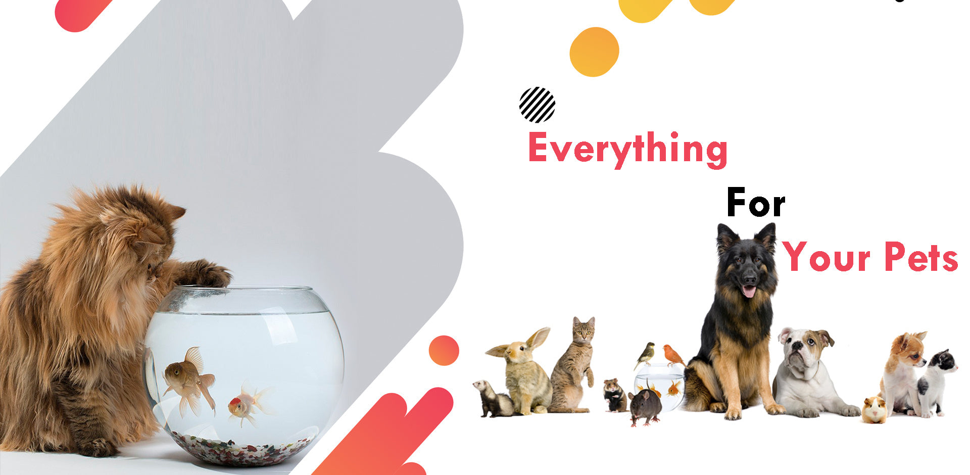 Everythingformyanimals