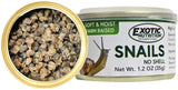 Healthy High Protein Treat for Hedgehogs, Sugar Gliders, Reptiles,