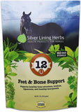 Healthy Horse Hoof Growth