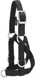 Leather Livestock Sheep & Goat Training Halter