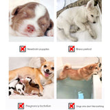 Pet Shampoo Pet Cat Dog Puppy Natural Plant Starch Dry Cleaning Antibacterial Shampoo Powder Pet Dry Cleaning Powder 300g