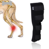 Pet Knee Pads Dog Support Brace For Leg Injury Recover Hock Joint Wrap Breathable Dog Legs Protector Support Health для собак