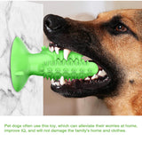 NEW Dog Toothbrush Toys for Dogs Interactive Toy Training IQ Teeth Cleaning Durable Small Medium Large Dog Puppy Chewing