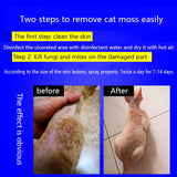 Special spray for cat ringworm skin disease in addition to cat moss 120ml kitty cat pet supplies spray itching