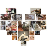 7 Style/1 Set Cat Toy Hemp Rope Interactive Stick Funny Cats Toys Kitten Mouse Fishing Game Wand Feather Pet Supplies Accessory