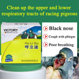 Clean up the respiratory tract, increase flying ability, improve breathing quality, dove medication, snoring and snoring