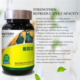 Pigeon strong health care products improve the physique and egg production rate of hens and improve the quality of breeding eggs