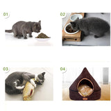 Pure Natural Cat Catnip Safety Creative Teeth Cleaning Cat Treat Kitten Catnip Snack for cute Cats herbe a chat pet supplies cat
