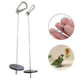 Pet Parrots Birds Food Holder Stainless Steel Fruit Spear Stick Fruit Vegetable Skewer Feeder Foraging Toys