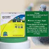 Clean up the respiratory tract, increase flying ability, improve breathing quality, dove medication, snoring and snoring
