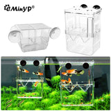 Baby Fishes Acrylic Aquarium Hatchery For Guppy Fish Isolation Breeding Box With Suction Cup Transparent Fish Tank Incubator