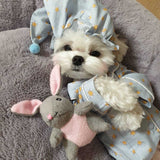 Sweet Pet Dog Jumpsuits Clothing for Dogs with star hat Pajamas cotton Pet Dog Clothes for Dogs Coat Jacket Chihuahua Yorkshire