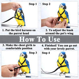 Parrot Bird Harness Leash Outdoor Flying Traction Straps Band Adjustable Anti-Bite Training Rope