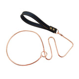 Pet Dog P Chain Dog One-piece Leash Outdoor Walking PU&amp;copper Traction Rope Competition-grade P-chain Corrective Control Rope