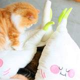 Pet Garlic House Bed Warm Fun Cat Litter Couch Cozy Comfortable Nest  Semi-Enclosed Cushion Dog Cat Accessories Kennel