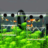 Baby Fishes Acrylic Aquarium Hatchery For Guppy Fish Isolation Breeding Box With Suction Cup Transparent Fish Tank Incubator