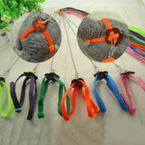 Let's Pet Colorful Parrot Bird Leash Outdoor Adjustable Harness Training Rope Flying Cross Band Bird Toys