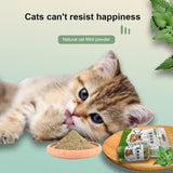 1 Bottle/bag Mint Leaf Powder Pet Cat Snacks Natural Cat Mint Powder Healthy Clean Teeth Cat Grass Powder Care Toys Pet Products