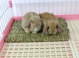Foldable Woven Grass Pet Rabbit Hamster Guinea Pig Cage Nests House Chew Toy MJ72811
