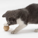 2pcs Cat Toy Pet Rattan Ball Cat Toy Funny Faux Feather Cat Bell Ball Kitten Playing Interactive Ball Toys for Cats