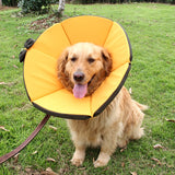 Pet Cat Collar Dog Necklace Accessories Adjustable Kitten Neck Protective Circle Waterproof Medical Collar Cat Supplies