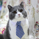 [MPK Cat Ties] Cute Pet Ties, Dog Collar Cat Collar, Pet Bow Ties, Dog Tie, Smart-Looking Pet Costume
