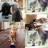 Cat Snacks Catnip Sugar Candy Licking Solid Nutrition Gel Energy Ball for Kitten Cats Healthy Food Digestion Pet Supplies