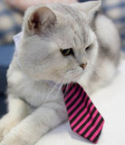 [MPK Cat Ties] Cute Pet Ties, Dog Collar Cat Collar, Pet Bow Ties, Dog Tie, Smart-Looking Pet Costume
