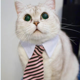 [MPK Cat Ties] Cute Pet Ties, Dog Collar Cat Collar, Pet Bow Ties, Dog Tie, Smart-Looking Pet Costume