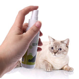 Cat Catnip Pet Training Toy Natural Healthy Cat Mint Funny Scratch Toy Spray P15D