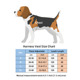 Pet Cat Harness Vest Leash Pet Adjustable Harness with Bell Walking Leash for Kitten Puppy Small Medium Dog Imitated Leather