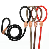 P Chain Dog Leash Slip Collar pet Walking Leads Nylon Dog Mountain Climbing Rope puppy pet Traction For small Medium Large Dogs