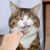 Pet Tooth Cleaning Fingercap Finger Toothbrush Teddy Dog Brush Bad Breath Tartar Teeth Dog Cat Cleaning Finger Cover Pet Supplie