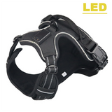 Pet Product LED Harness Tailup Nylon Flashing Light Safety Dog Harness Leash Rope Belt LED Dog Collar Vest Pet Supplies