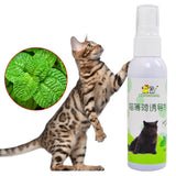 Cat Catnip Pet Training Toy Natural Healthy Cat Mint Funny Scratch Toy Spray P15D