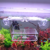 Baby Fishes Acrylic Aquarium Hatchery For Guppy Fish Isolation Breeding Box With Suction Cup Transparent Fish Tank Incubator