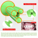 NEW Dog Toothbrush Toys for Dogs Interactive Toy Training IQ Teeth Cleaning Durable Small Medium Large Dog Puppy Chewing