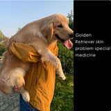 Special ointment for dog interdigital inflammation skin care ointment for cat interdigital inflammation