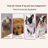 Pet Digestive Tablets Dogs Probiotics Appetizer Health Care Gastrointestinal Cat Gastrointestinal Po 400 Tablets