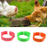 100PCS Chicken Leg Ring Adjustable Size Poultry Leg Buckle Digital Label For Chicken Duck Pigeon Poultry Farming Distinction