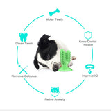 NEW Dog Toothbrush Toys for Dogs Interactive Toy Training IQ Teeth Cleaning Durable Small Medium Large Dog Puppy Chewing