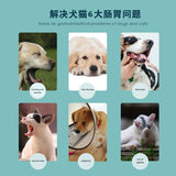 Dogs, cats, probiotic powder, pet golden retriever, adult dogs, puppies, conditioning gastrointestinal diarrhea, diarrhea, vomit