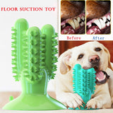 NEW Dog Toothbrush Toys for Dogs Interactive Toy Training IQ Teeth Cleaning Durable Small Medium Large Dog Puppy Chewing