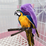1 Pcs Soft Plush Bird Hammock Winter Windproof Bird Parrot Cage Hanging Bed Parakeet Cave Hideout Tent Pet Birds Nest Supplies
