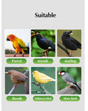 Parrot bird special medicine intestinal diarrhea prevention of enteritis parrot pigeon often spare health care products