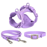 New Four Seasons Pvc Puppy Basic Collar Dog Chest Harness Quick Release Personalized Solid Color Leash Pet Supplies Set