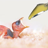 Baby Bird Feeder Parrot Feeding Syringe BreastFeeding Water Milk Medicine Bird Supplies 10/20 ML + Stainless Steel Spoon