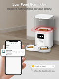 DownyPaws 6L Automatic Pet Feeder Cat Food Dispenser WiFi APP Control For Cats Dogs Pet Dry Food Accesories Stainless Steel Bowl