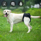 Dog/Cat Pants XS-L Dog Shorts Physiological Pants For Small Dogs Washable Female Sanitary Shorts Letter Panty For Dogs